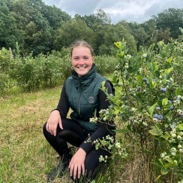 Anna-Lena und die Heidelbeeren