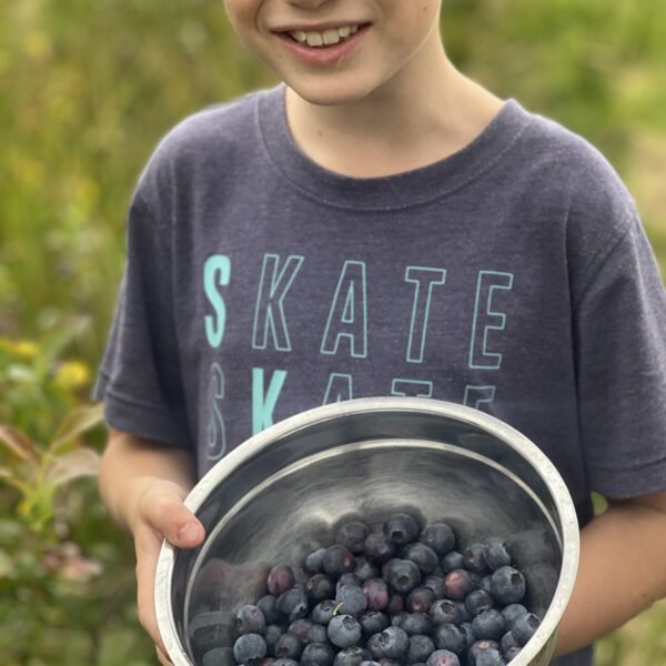 Gepflueckte Heidelbeeren